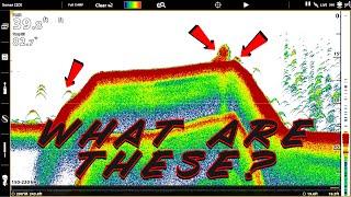 Fish Finder Explained For Beginners: Sonar, Side Imaging, Down Imaging, Mapping Tricks