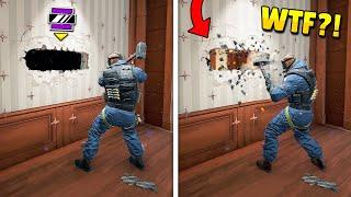 RAINBOW SIX SIEGE FAILS: #115 (Rainbow Six Siege Random Moments)