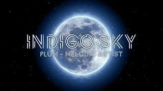 아름답게 울려퍼지는 새해 첫 멜로디! / Indigo Sky by Plum