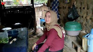 JUMPA KEMBALI JANDA DESA CANTIK AKTIVITAS DI DAPUR ||  suasana pedesaan sunda sukabumi jawabarat