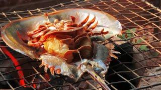 Super Yummy Horseshoe Crab Eggs Salad, Cooking Yummy Seafood