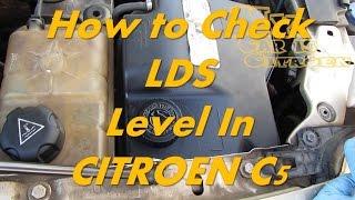 Citroen C5 - How to Check LDS Level - Citroen Hydractive Suspension Fluid Level