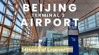 HOW TO TRANSIT AT BEIJING INTERNATIONAL AIRPORT TERMINAL 3 | 14 HOURS OF LAYOVER IN BEIJING