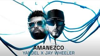 Yandel - AMANEZCO Ft JAY WHEELER (Visualizer Oficial)