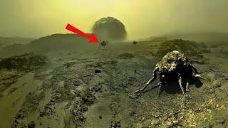 Soviet Probes Found THIS on Venus – Was It Life or Something Else?