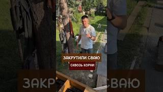 Свая попала в корни дерева. #стройка #каркасныйдом #терраса #дача #ремонтдома #веранда