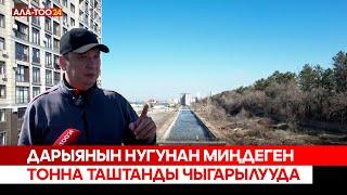 Дарыянын нугунан миңдеген тонна таштанды чыгарылууда