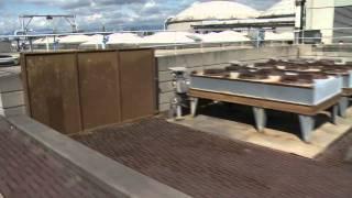 Understanding Wastewater Treatment
