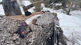 Collecting Firewood - Part II (SO5) @ShootersInc And The Outdoors