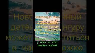 #интересно #факт #like #nice #video #круто #guest #класс #know