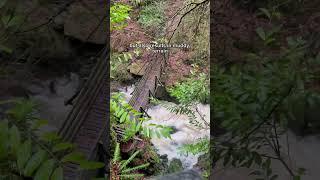 Rumbling Bridge Gorge & Crook of Devon #scotland #scotlandexplore #scotlandadventures