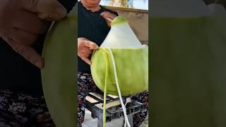 Turning Bottel Gourd Into Noodles  #shorts #facts