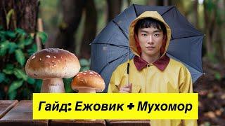 Эпический Гид: Мухомор и Ежовик. Все Секреты на Ладони!