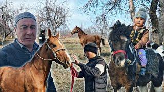 2 ЁШЛИК ЧАВАНДОЗНИ ПОНИ ОТИ СОТИЛАДИ..