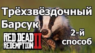 Где найти Барсука с Превосходной шкуркой/RDR2/