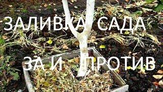 ПРЕДЗИМНИЙ полив САДА. За и против.