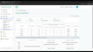 Работа с анализом СОР/СОЧ