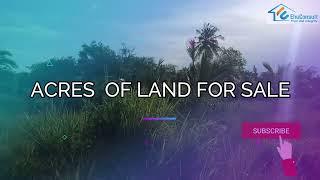 ACRES OF LAND FOR SALE AT GOMOA FETTEH