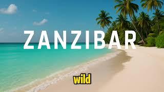 The Ultimate Zanzibar Guide (2025): Everything You Need to Know Before You Go