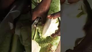 how we prepare healthy nutrition weight loss vegan recipes|offgrid homestead village#viral#shorts
