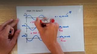 x-t, v-t and a-t Graphs of SHM