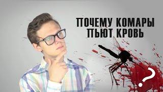 Почему комары пьют кровь?