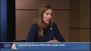 Assuming the Role of Senate Minority Leader