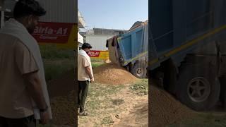 ️जय हो सवारिया सेठ की जय #dumptruck #dumper #sawariyaseth #sawariya #song #love #reels #viral