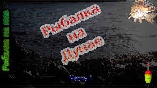 Рыбалка в дельте Дуная.  День 1, огромная густера на фидер.