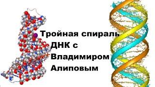 Тройная спираль ДНК с Владимиром Алиповым