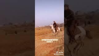 Rider Mian Sohaib Qureshi on QismatWala Stallion from Husn E Seham'Stud Farm
