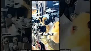병아리 자동화시스템