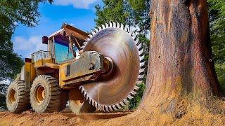 Extreme Dangerous Fastest Big Chainsaw Cutting Tree Machines | Monster Stump Removal Excavator #39