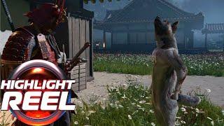 Assassin's Creed Shadows Dogs Assert Dominance |  Highlight Reel # 783