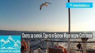 Охота за силой. Где-то в Белом Море возле Соловков [Родогой Орлов]