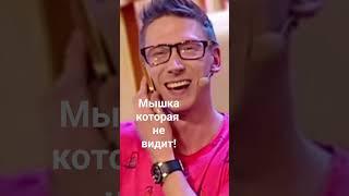 Слепая мышка! Юмор!