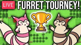 The FULL Furret-Only Pokemon Tournament.