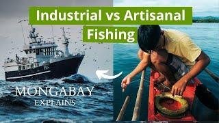 What is the difference between industrial and artisanal fishing? | Mongabay Explains