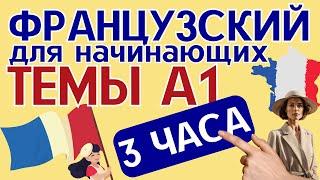 ФРАНЦУЗСКИЙ ЯЗЫК С НУЛЯ КУРС А1 ЗА 3 ЧАСА ТЕМЫ А1 ДЛЯ НАЧИНАЮЩИХ