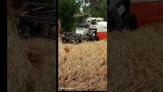 #nirmala #mahakur#official #shortvideo #viral #video #sambalpuri #kirtan #comedy #please #vlog