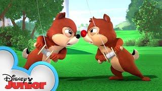 Kite-Tastrophy! | Chip 'N Dale's Nutty Tales | @disneyjr