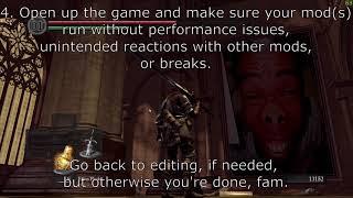 How to Do Basic Visual Mods for Dark Souls: PTDE