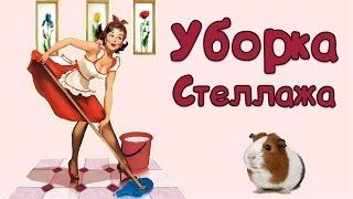  Уборка стеллажа морских свинок  Guinea pigs cage cleaning