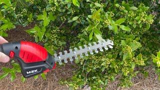 Many Uses, MZK Hedge Trimmer and Grass Shears Review