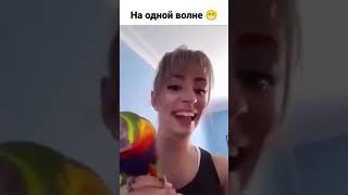 Любой попугай похож на свою хозяйку  похожи ведь?