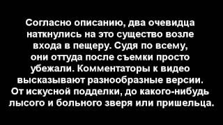 Видео, заснявшее неопознанное живое существо, выползающее из пещеры где то в Колумбии