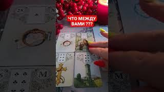 ЧТО МЕЖДУ ВАМИ ??? 1 ВАРИАНТ #shorts #ясновидящая #barbararadzivill