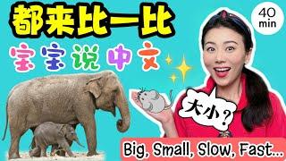 宝宝学说话- 比一比大小长短| 中文儿歌| 幼儿早教| 宝宝学中文-Big, Small, long, short and more | Baby & Toddler Learning Chinese