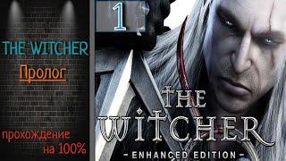 The Witcher(Ведьмак)Часть 1. ПрологПрохождение на 100%