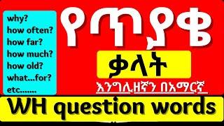 WH Questions In English and Amharic with Examples  #euee